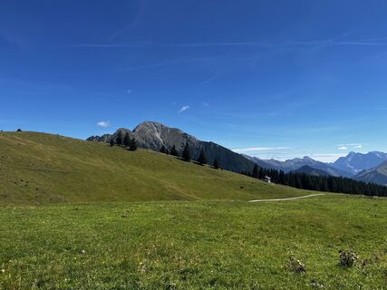 Zdjęcie z Timberwolf_Bavaria wzdłuż trasy