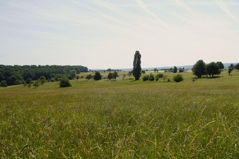 Herrliche Aussichten bei Pfaffenrot