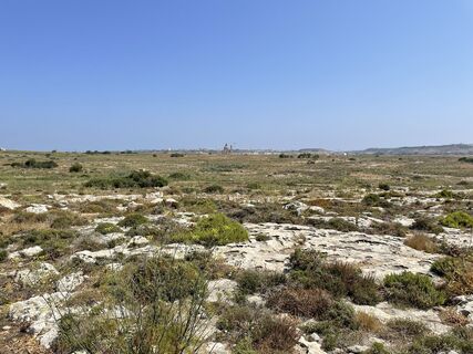 Photo de Sebastian Gassler le long du parcours