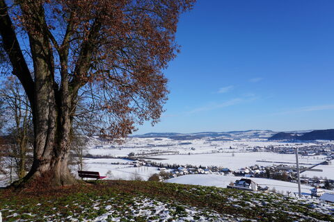 Burgruine Kastelen Sitzbank