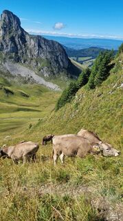 Foto von don_pejote entlang der Tour