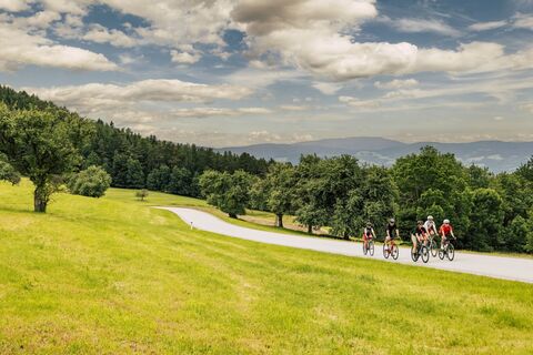 Rennradfahren_Oststeiermark