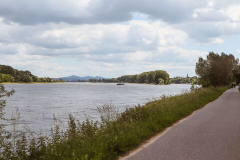 Rheinradweg bei Borheim-Hersel 