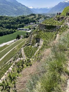Photo de Hans-Peter Arnold le long du parcours