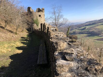 Ruine Schenkenberg