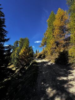 Fotografia z David Krcek na trase