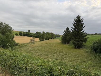 Foto von Schaali entlang der Tour