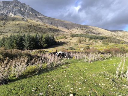 Fotografie z Gerry Girardi na trase