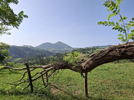 Foto von Peter spierenburg entlang der Tour