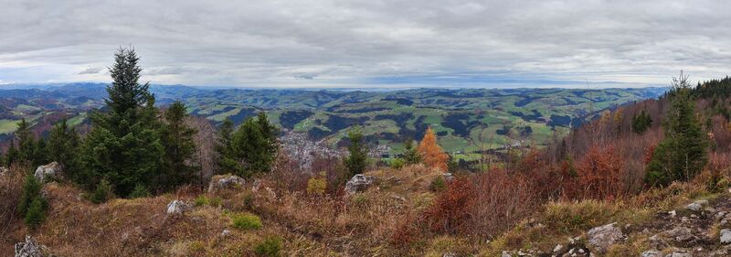 Fotografia z Sepp Schachi na trase