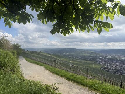Foto de Gregor Schalhorn a lo largo del recorrido
