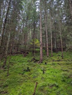 Foto de Claudia Thime a lo largo del recorrido