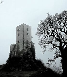 Foto de enipeus 65 a lo largo del recorrido