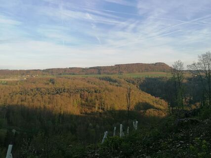 Foto von luyyy entlang der Tour