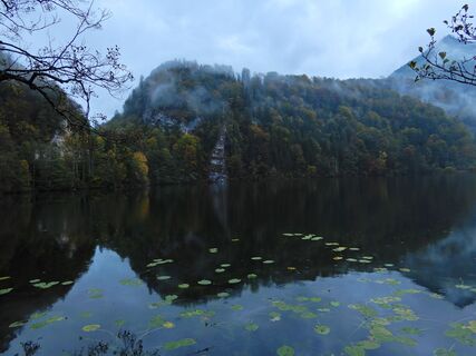 Winkl/St. Gilgen - Krotensee - Steinklüfte - Hochlackenhof - Unterellmau - Fuschl am See