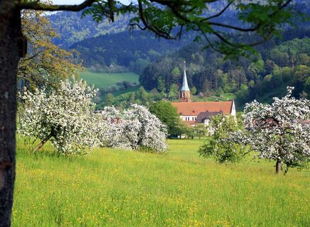 Blick vom Winzerpfad aus auf die St. Blasiuskirche