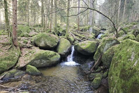 Photo de SchiMi780 le long du parcours