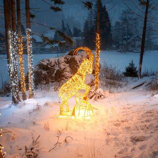 Der beleuchtete Steinbock im Adventweg