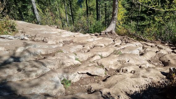 Photo de Michael Sparlund le long du parcours