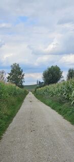 Fotografia z garrincha na trase
