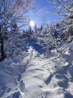 Foto von Edith K. entlang der Tour