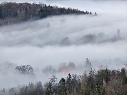 Fotografia z TwilightTea na trase
