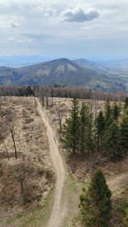 Photo de Čestmír Sivek le long du parcours
