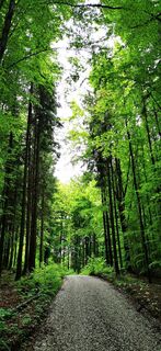 Foto von Klaus Lehner entlang der Tour