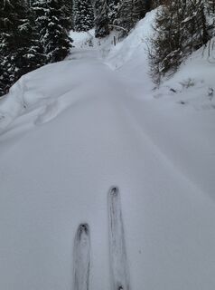 Foto von Arnulf Müller entlang der Tour