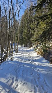 Fotografia z Klaus Wolfinger na trase