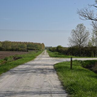 Entre vignes et marais3