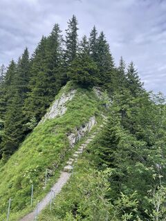 Photo de Martin Reinhard le long du parcours