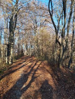 Fotografija s spletne strani Stephane Cappellaro na poti