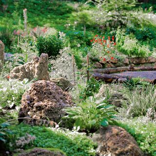 Kräuter- und Erlebnisgarten Hollenstein