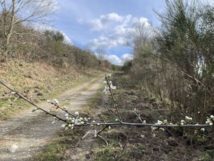 Foto von MarijkeL entlang der Tour