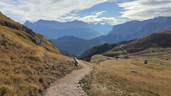 Foto von V Feurstein entlang der Tour