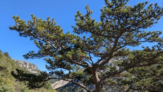 Foto von Ziegler Em1304 entlang der Tour