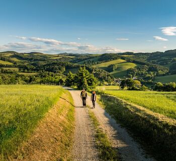 Zwei Wandernde auf einem Feldweg in grüner, hügeliger Landschaft