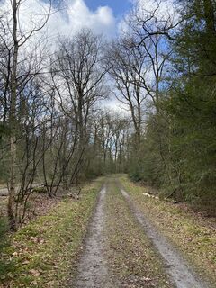 Foto de Roy de Vries a lo largo del recorrido