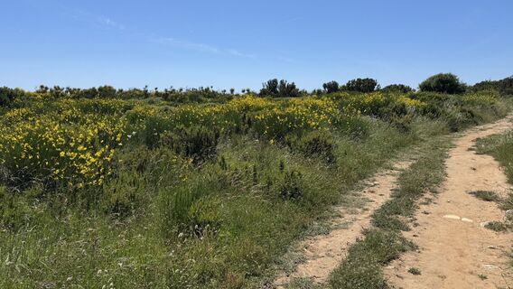 Foto von chiemseesurfer entlang der Tour