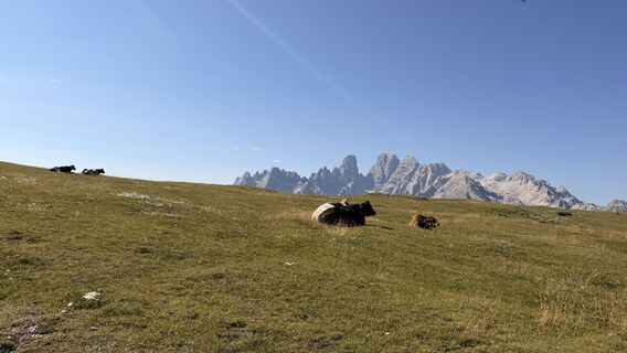 Foto von DANIEL SISKA entlang der Tour