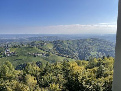 Fotó a coochi honlapról a túra során
