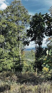 Foto von Klaus Tillmanns entlang der Tour