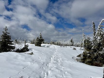 Fotografija s spletne strani Natur_erleben_dg na poti