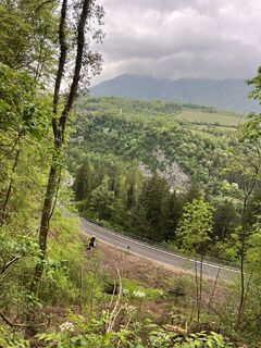 Foto von Heikoala entlang der Tour