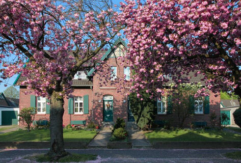 Kirschblüte Kolonie Meerbeck