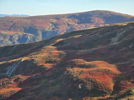 Fotografia z TwilightTea na trase