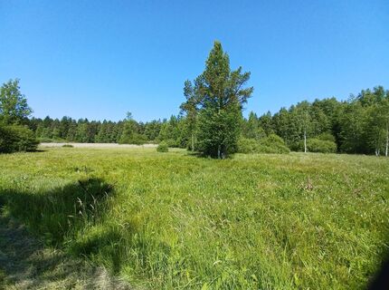 Fotografia z Radka Kahovcová na trase