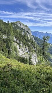 Photo de Mountain Cat ? ⛰️ le long du parcours
