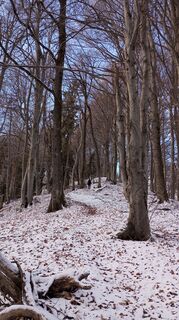 Photo from Martina Ursic75 along the tour